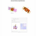Advanced Calculus using Mathematica: NoteBook Edition
